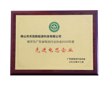 2020年度先進電芯企業(yè)